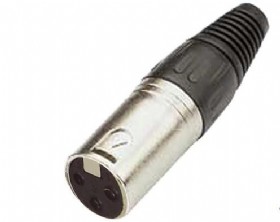 ��� xlr ����
